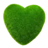 💚