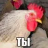 🐓