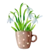 🌷
