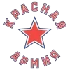 🌟