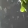 ⭐