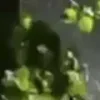 ⭐