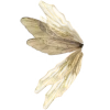 🦋