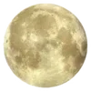 🌕