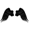 🖤
