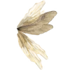 🦋
