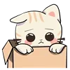 🥺