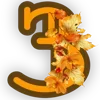 3⃣