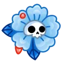 🌺