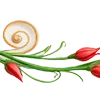 🌺
