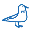 🕊️
