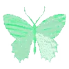 🦋