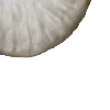 🫖