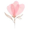 🌷