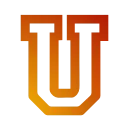 🔶