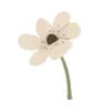 🌷