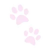 🐾