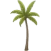 🌴