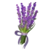 💜
