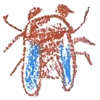🪰