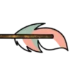 🪶