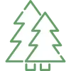 🌲