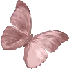 🦋