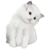 🐈‍⬛