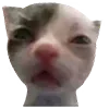 😣