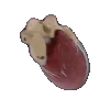 🫀