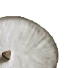 🫖