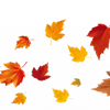 the diary of nadya poets of the fall — Telegram emoji pack
