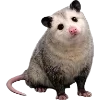🫥