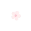 🌸