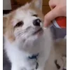 😋