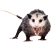 🫥