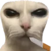 🚬