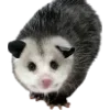 🫥