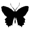 🦋