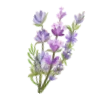💜