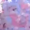 🌸