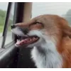 😃