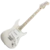 🎸