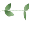 🌿