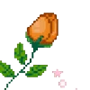 🌹