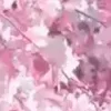 🌸