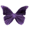 🦋