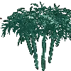 🎋