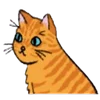 🐱