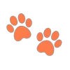 🐾